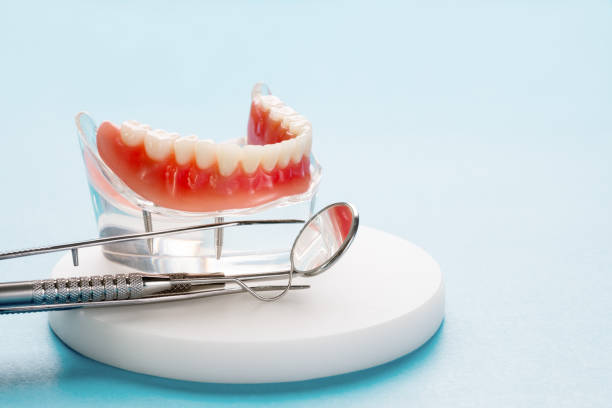 Best Dental Exams and Cleanings  in Adrian, MN